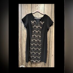 Betsy & Adam plus size dress